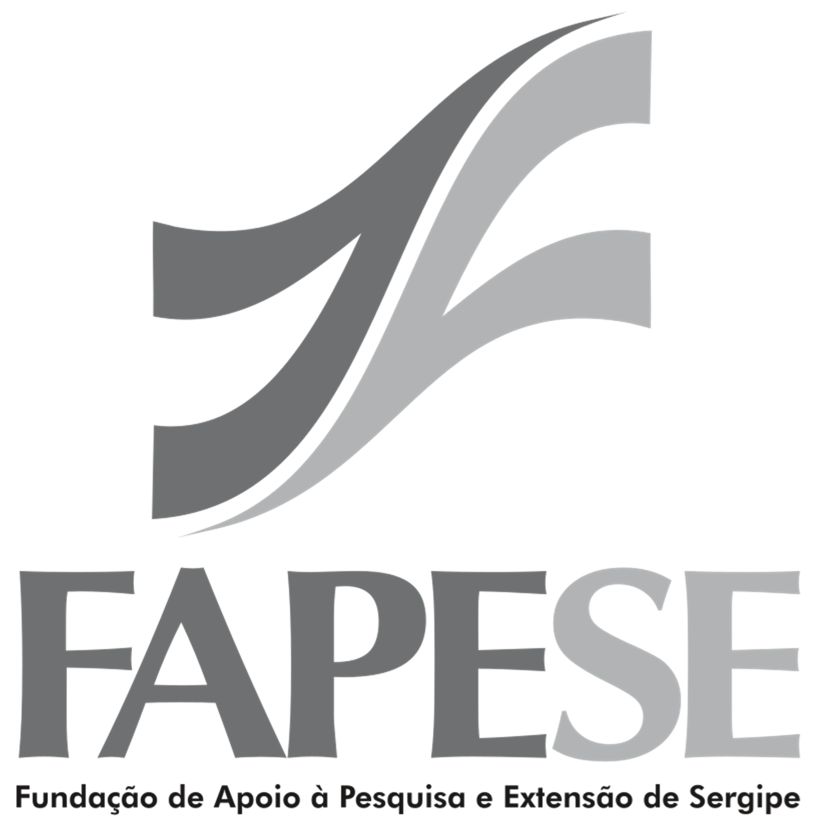 Empresa 7